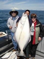 90lb Halibut WOW! From Cooks Inlet