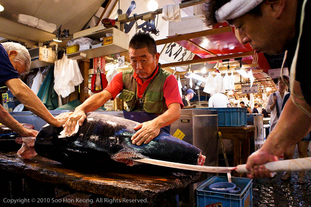 Cutting Fish @ Tsukiji Market, Tokyo, Japan