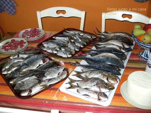 Banquete de pescado
