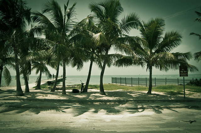 "...palm trees sway in a sultry breeze against the unmistakable aqua splendor of the Caribbean Sea..."