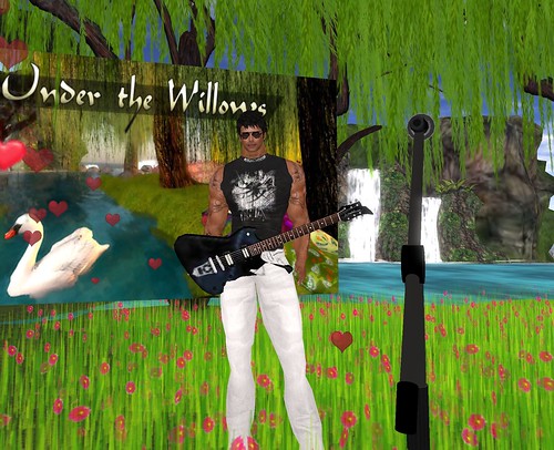 Live Music with MichaelJames Magic at Under the Willows on February 13 2011
