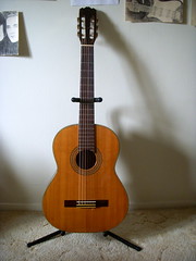 nylon string guitar
