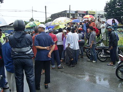 Demo Pokok Assam Jelutong