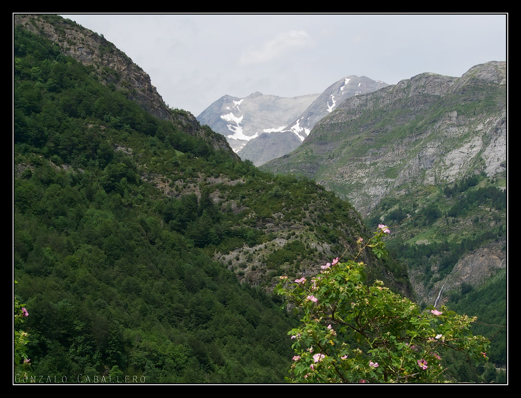 Vignemale desde la subida al Valle de Otal