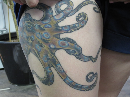 octopus · ocean · octopus tattoo · ocean tattoo · tattoo · tattoos 