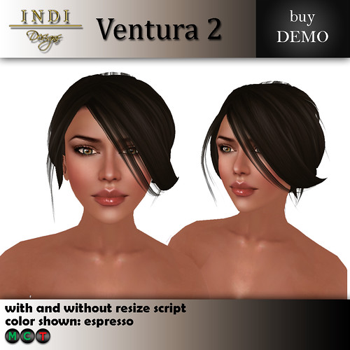 Ventura 2. Each hairstyle is offered in 24 colors divided into blondes, 