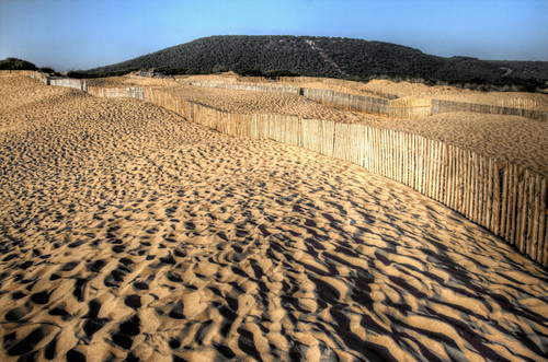 Dune and fence. Caños de Meca. Duna y valla