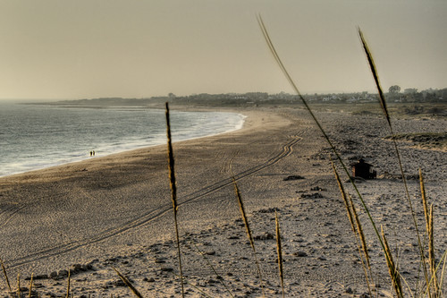 Spikes and beach. Cadiz. Espigas y playa