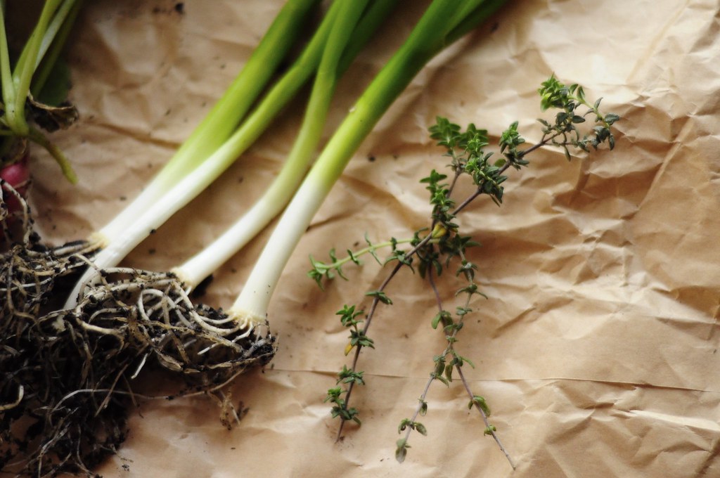 Spring onions and thyme