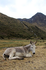 Huaraz - Cordillera Blanca