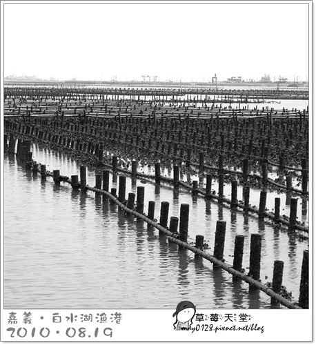 白水湖漁港25-2010.08.19