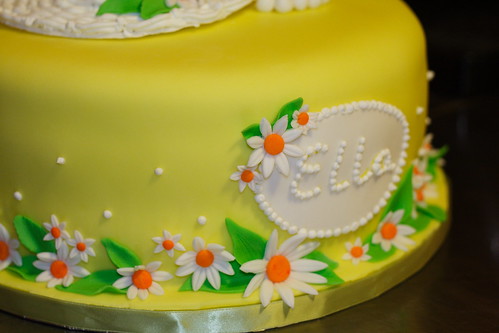 Ella's Cake 20100011