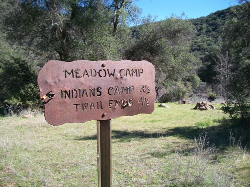 Meadow Camp