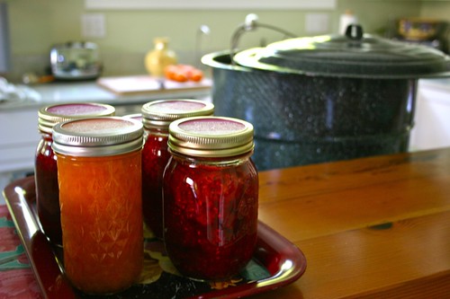 Apricot and Raspberry Apricot Jam in the Kitchen