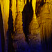 Grottes de Clamouse (Hérault), 9 août 2010