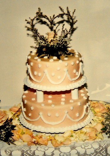 Our Wedding Cake