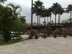 Pool area of Thistle Hotel