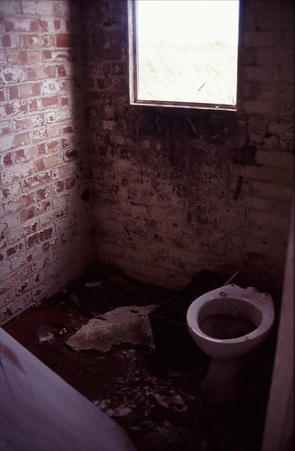 Derelict Toilet