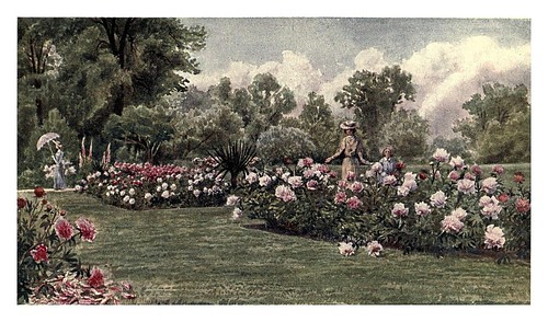 020--Kew gardens 1908- Martin T. MowerLas peonias