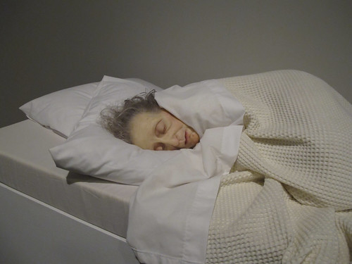 Ron Mueck Exhibition by Christchurch City Libraries
