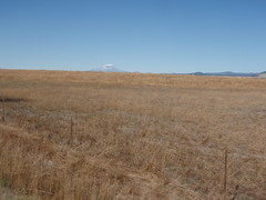 Agriculture - and Mt Adams in the distance