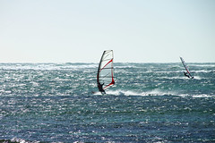 Windsurfing Lancelin