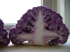 closeup on bisected purple cauliflower
