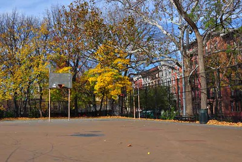 Autumn, Tompkins Square Park.