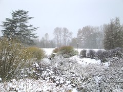 Winter Scene from Soest