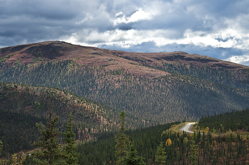 View from the Steese Highway