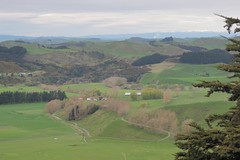 View across farmland, snow capped ranges in the distance