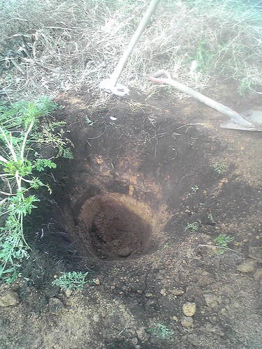 人参を掘り出した後の穴　2009年11月5日 by Poran111