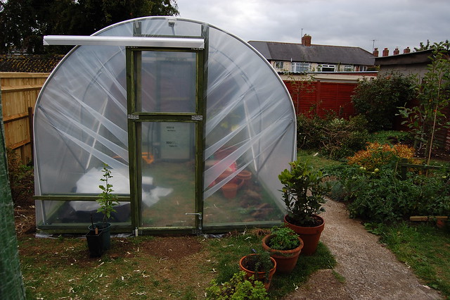 The front of the polytunnel