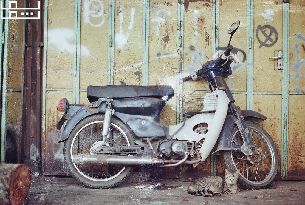 Motorcycle and Cat