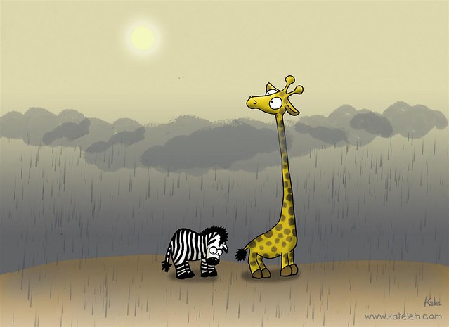 Zebra und Giraffe