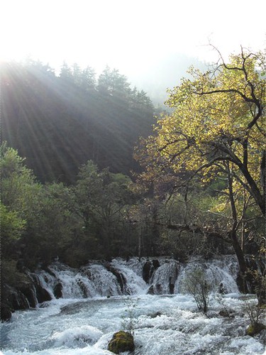 Shuzheng waterfall in Jiuzhaigou