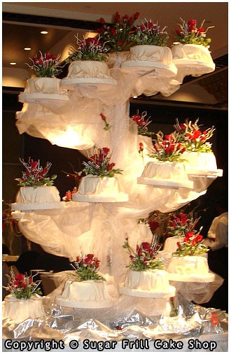 Wedding structure cakes pictures