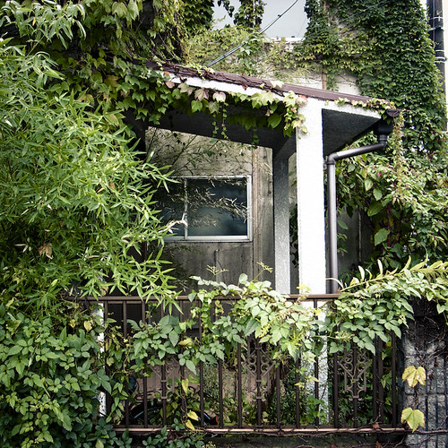 Living in Overgrowth