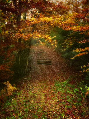 Autumn invites us to walk...