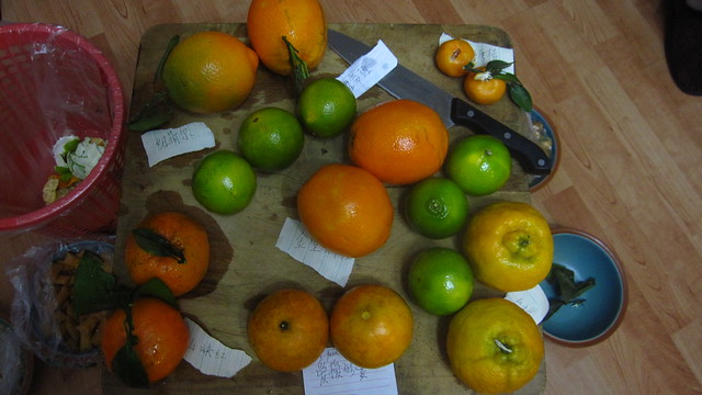 Orange sampler platter, Thanksgiving 2010
