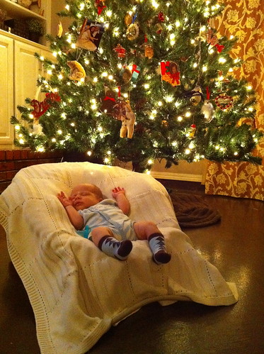 Putting up a Christmas Tree is hard work!