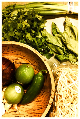 Ingredients for pho