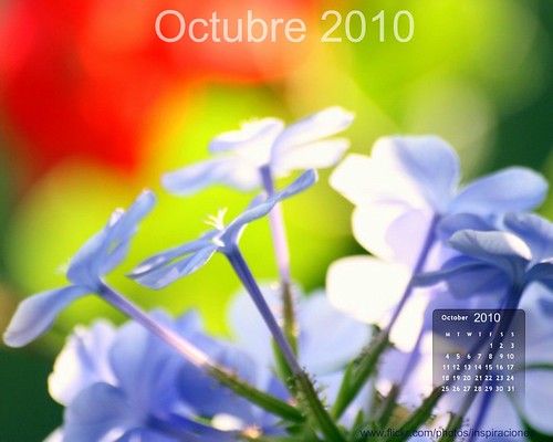 Calendario almanaque. Mes Octubre 2010