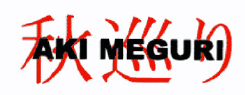 Aki Meguri banner