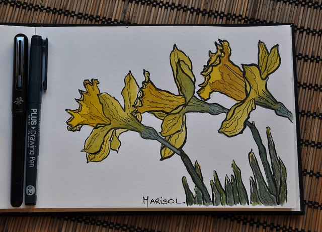 Daffodils in watercolor