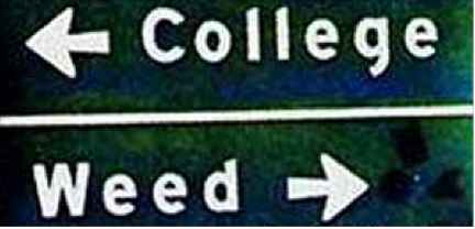 college+weed