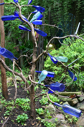 japanese garden bottle tree