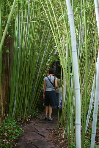 japanese garden bamboo grove