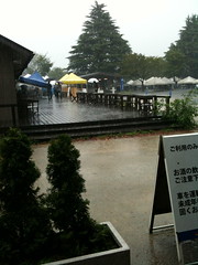 雨の昭和記念公園