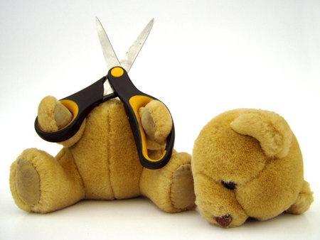 suicide-bear